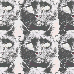 Evil Black Cat Fabric, Wallpaper and Home Decor | Spoonflower